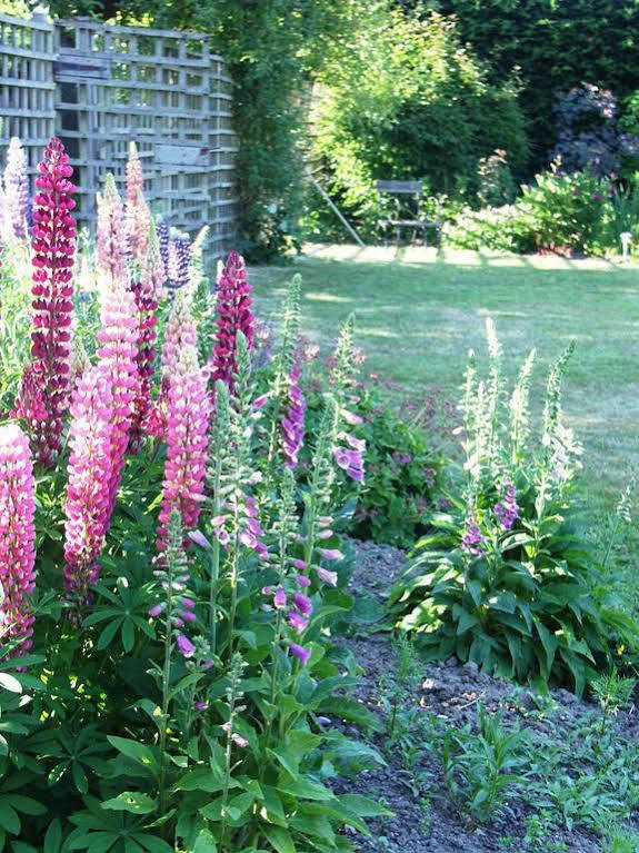 Catton Old Hall Bed and Breakfast Norwich Exteriör bild